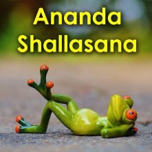 Masterclass di Anukalana Yoga - Ananda Shallasana: Massimo Comfort nello Yoga